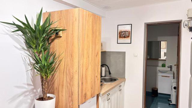 Apartament Boho Stare Miasto Nowy Sącz Exterior foto